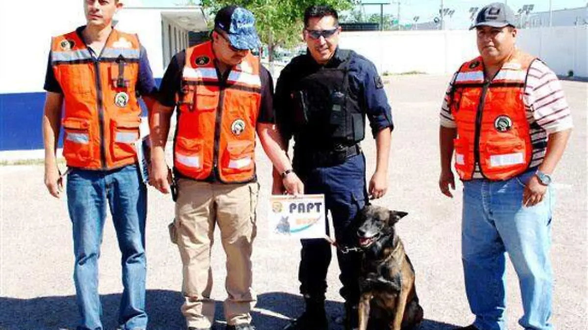 Marck, perro policía (2)